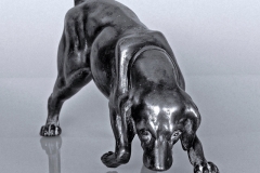 Hunden-webb